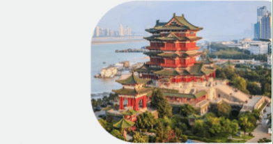 Эксперты ТРАНЗИТ выступят на отраслевом вебинаре по логистике